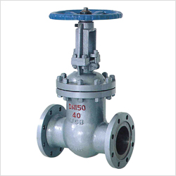 Z41H手動(dòng)法蘭閘閥圖片