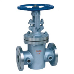 BZ41H夾套保溫閘閥圖片