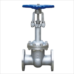 DZ41W手動(dòng)低溫閘閥圖片